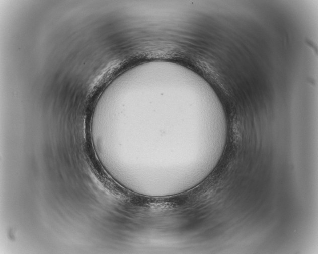 X0000099380686200805291129