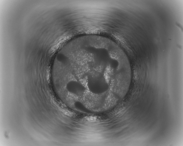 X0000099380687200805291129