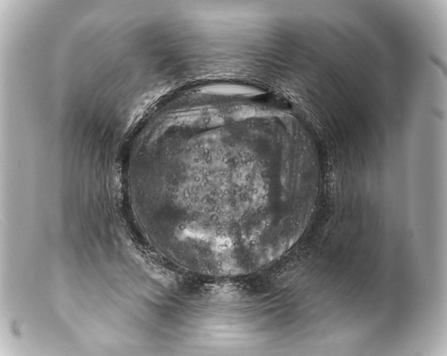 X0000099380688200805291129