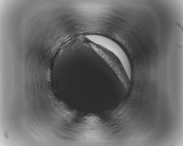 X0000099380689200805291129