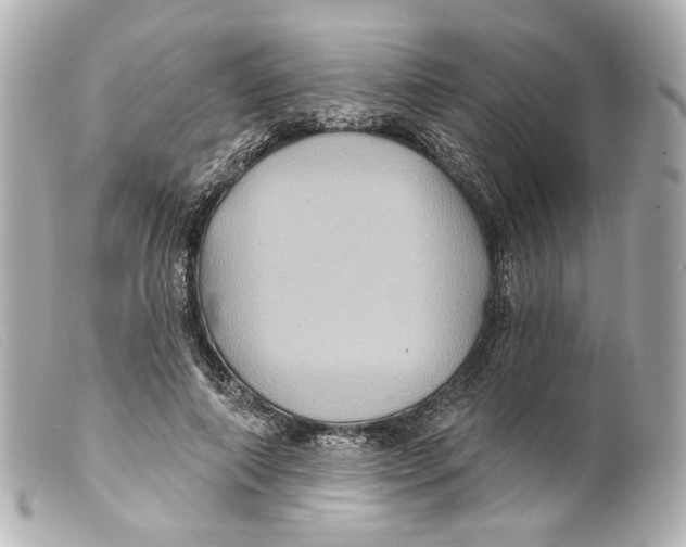 X0000099380690200805291128