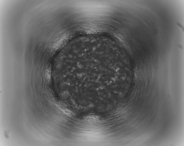 X0000099380691200805291128