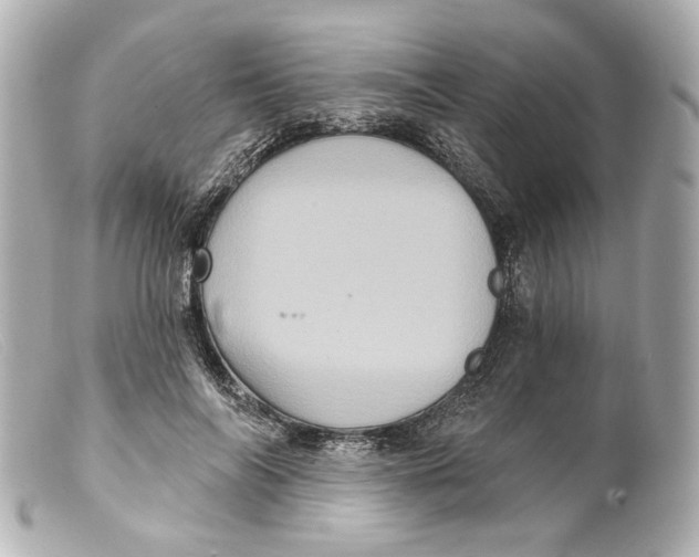 X0000099380694200805291128