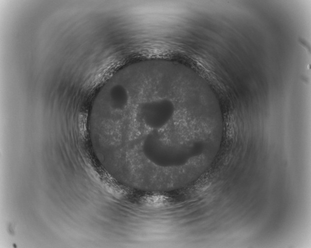 X0000099380695200805291128