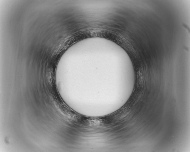 X0000099380698200805291128