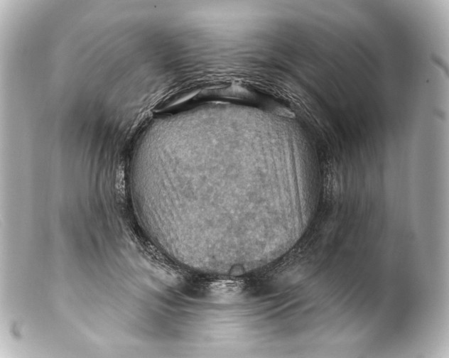 X0000099380700200805291128