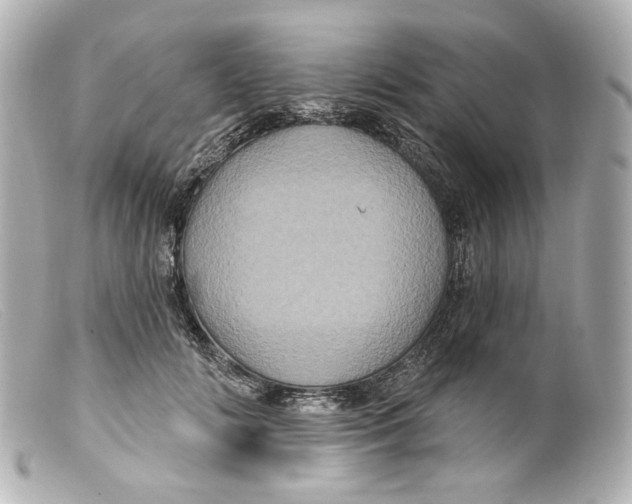 X0000099380702200805291128