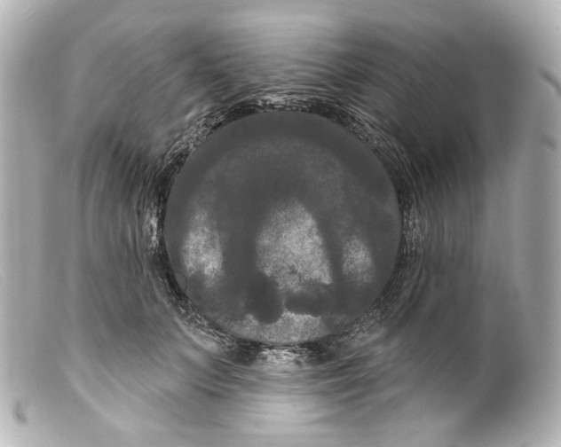 X0000099380703200805291128