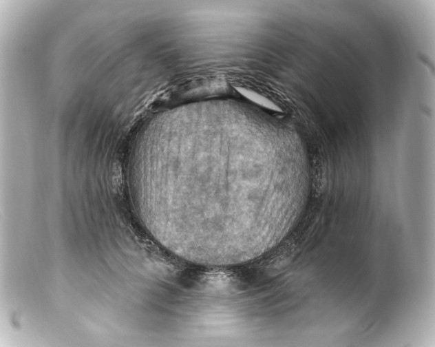 X0000099380704200805291128