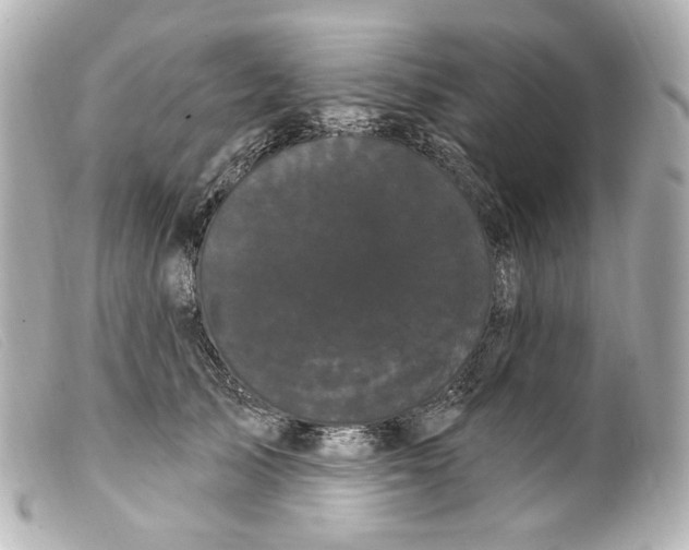 X0000099380705200805291128