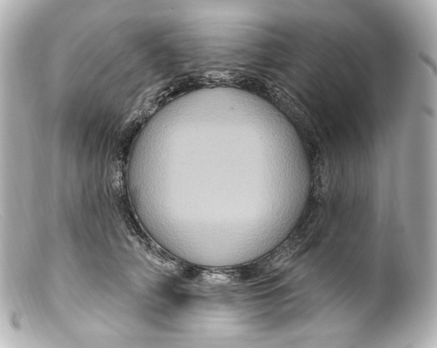 X0000099380706200805291128