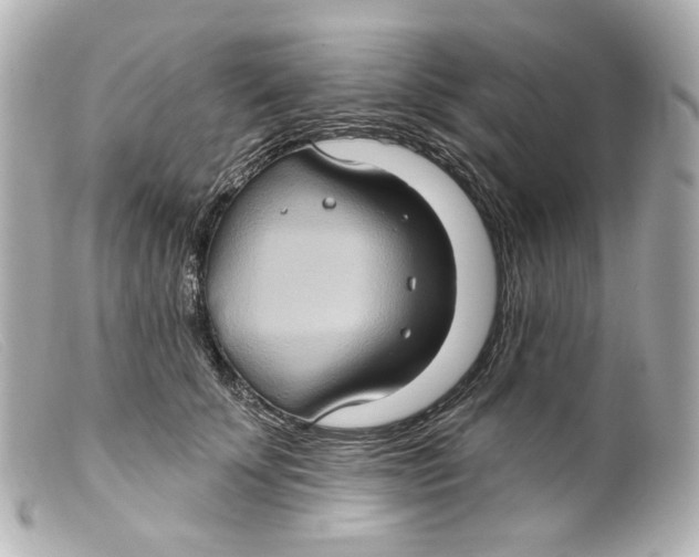 X0000099380707200805291128