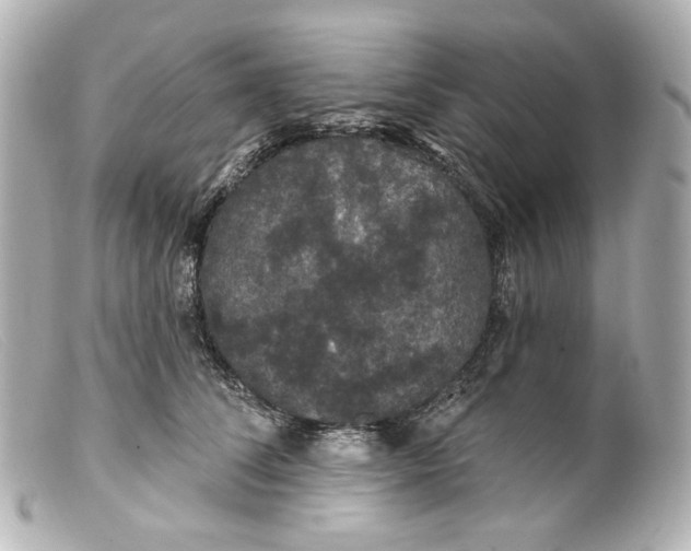 X0000099380708200805291128