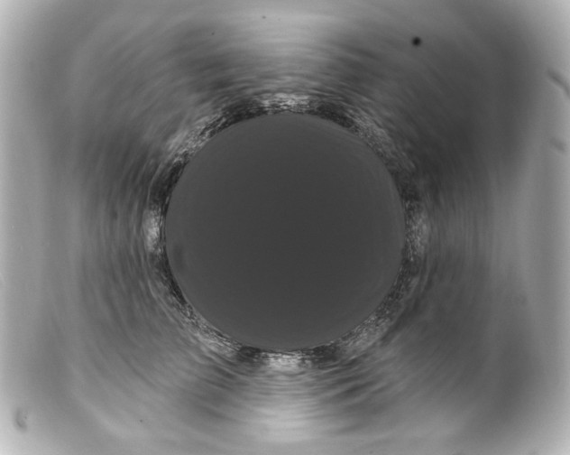 X0000099380709200805291128