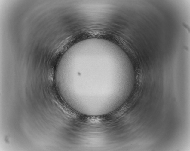 X0000099380710200805291128