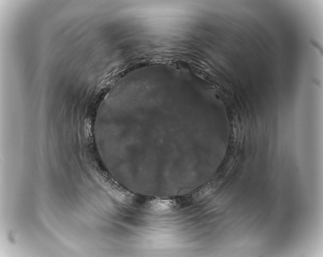 X0000099380711200805291128