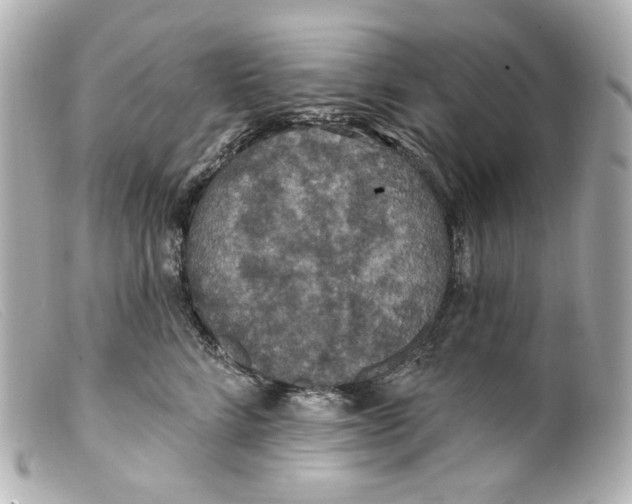 X0000099380712200805291128