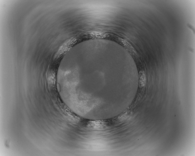 X0000099380713200805291128