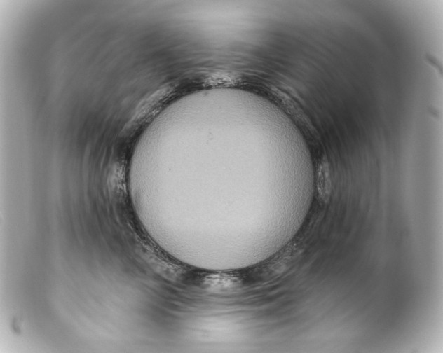 X0000099380714200805291128