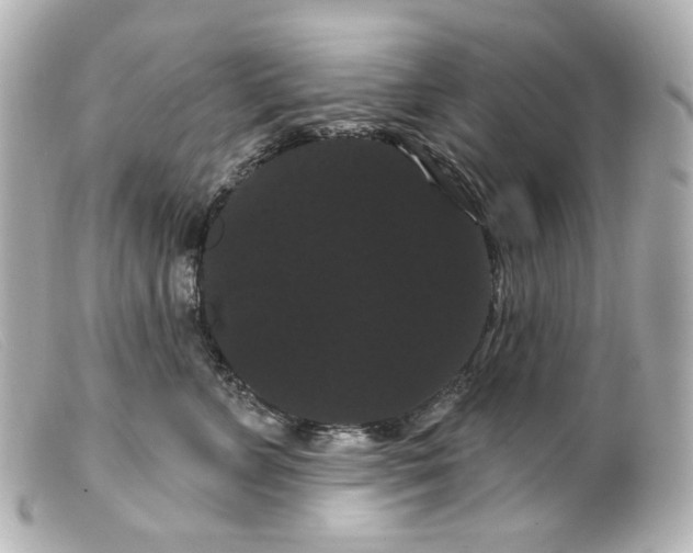 X0000099380715200805291128