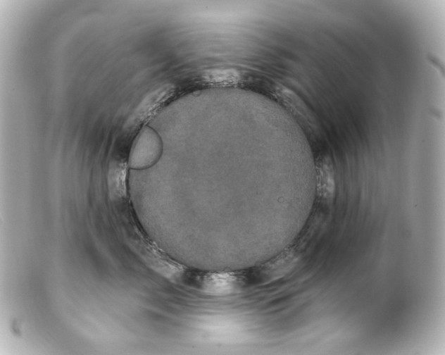 X0000099380717200805291128