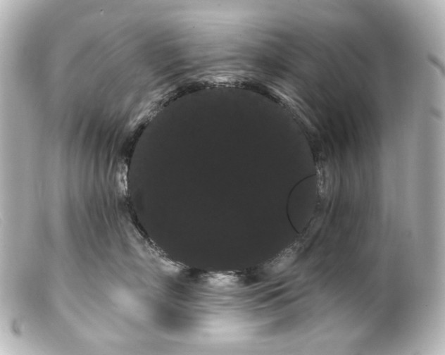 X0000099380718200805291128