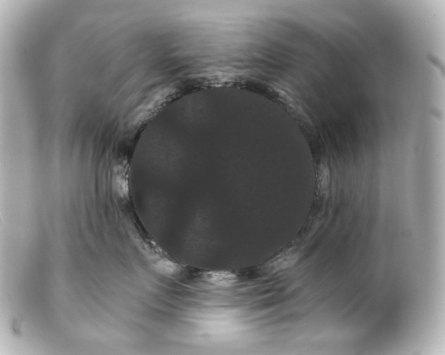 X0000099380719200805291128