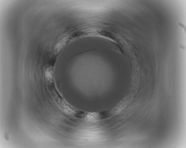 X0000099380720200805291128