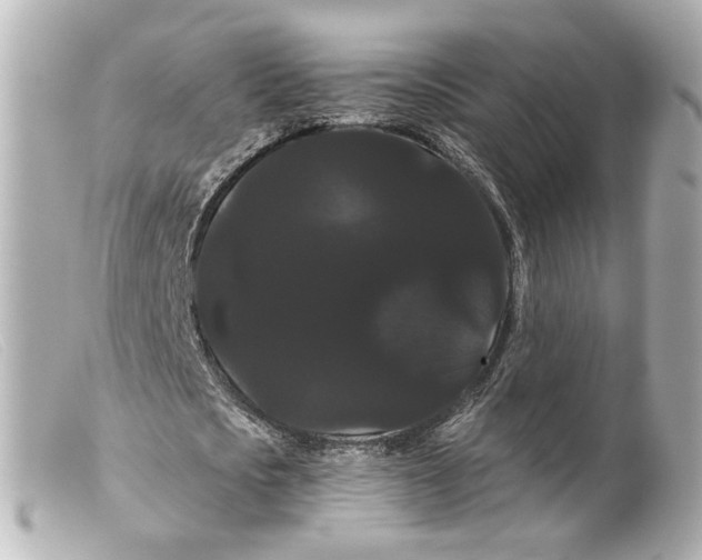 X0000099380721200805291127