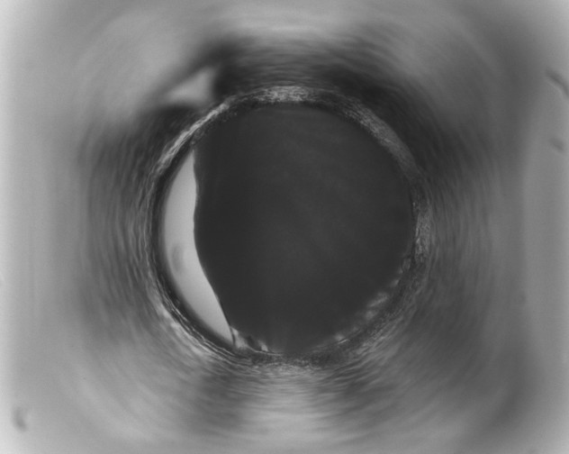 X0000099380722200805291127