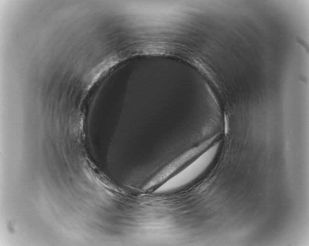 X0000099380723200805291127