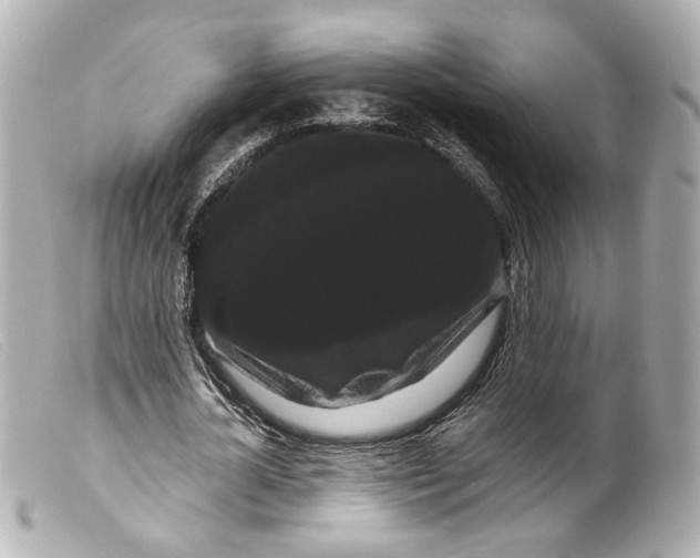 X0000099380724200805291128