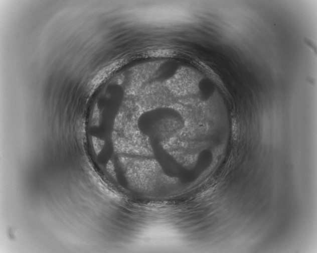 X0000099380725200805291128