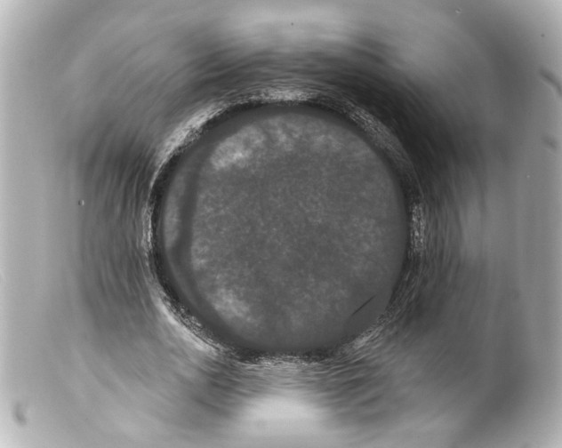 X0000099380726200805291128