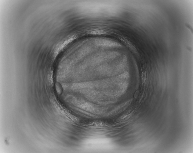 X0000099380727200805291128