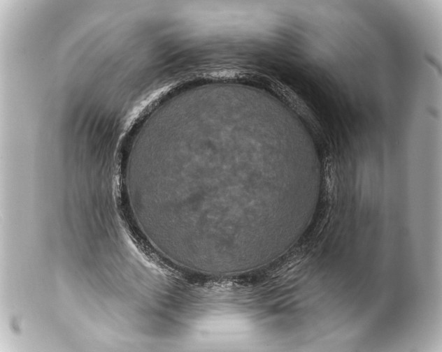 X0000099380728200805291128