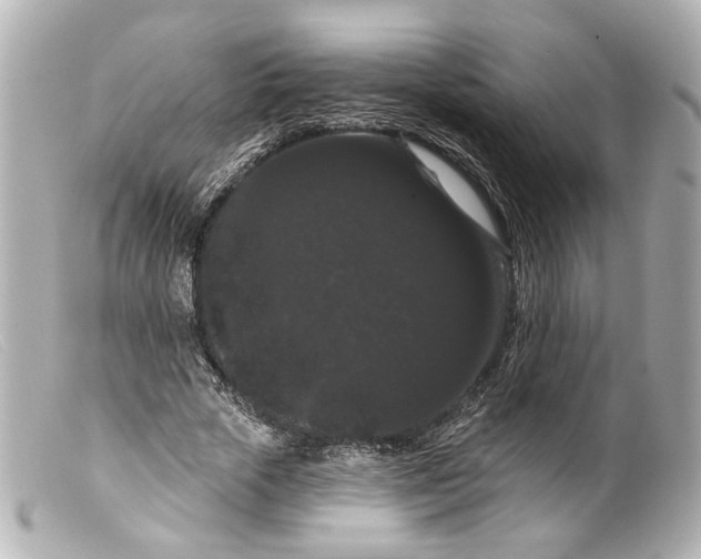 X0000099380729200805291128