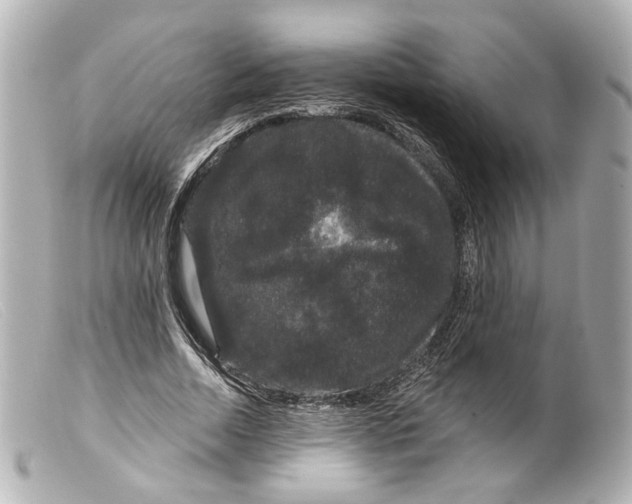 X0000099380730200805291128