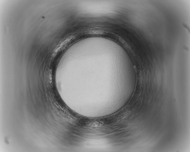 X0000099380731200805291128