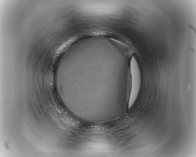 X0000099380732200805291128