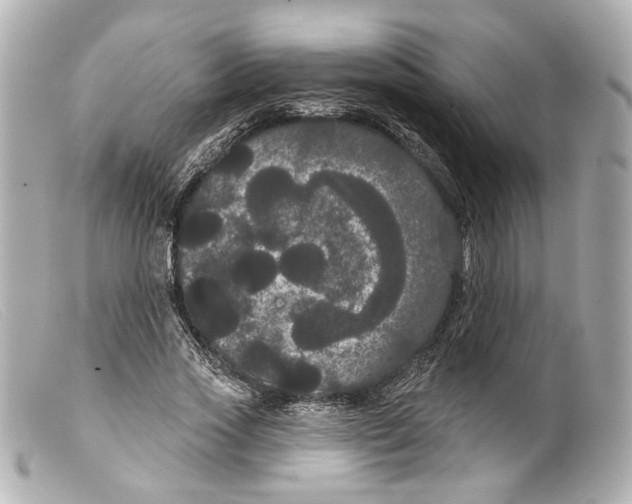 X0000099380733200805291128