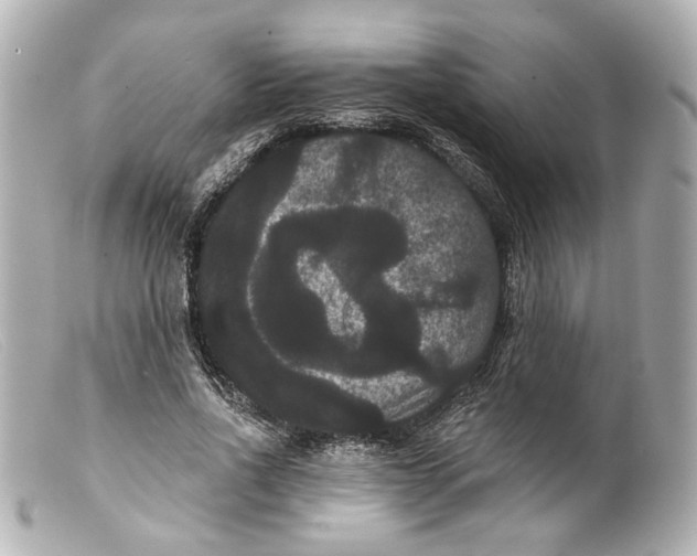 X0000099380734200805291128