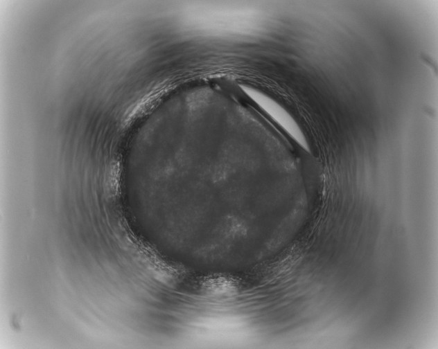 X0000099380735200805291128