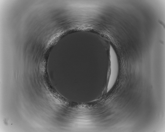 X0000099380736200805291128