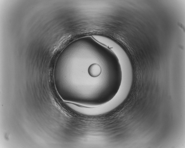 X0000099380738200805291128