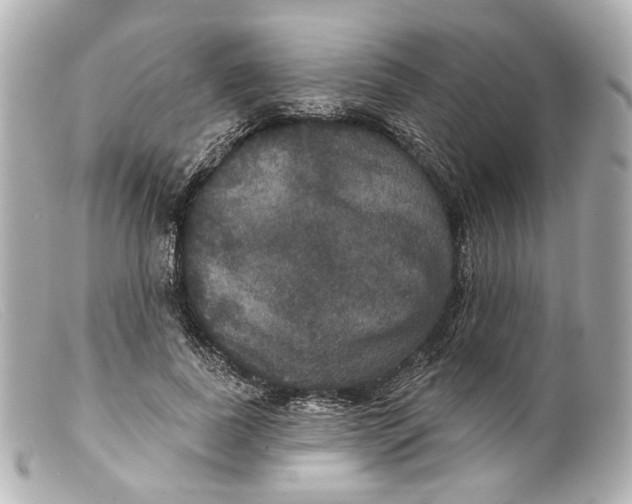 X0000099380739200805291128