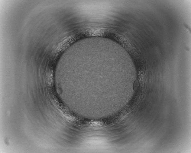 X0000099380741200805291128