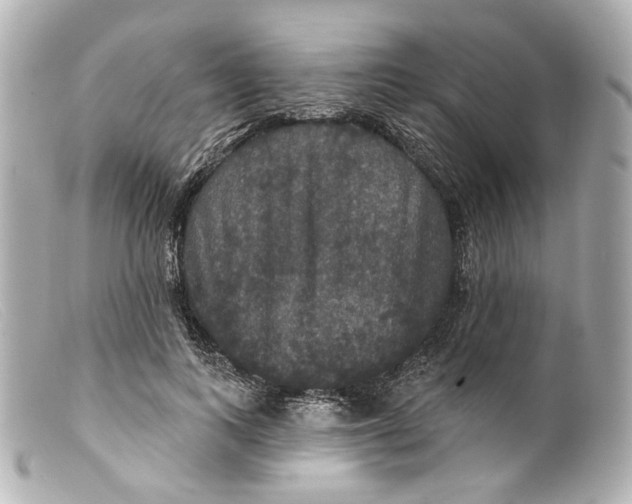 X0000099380743200805291128