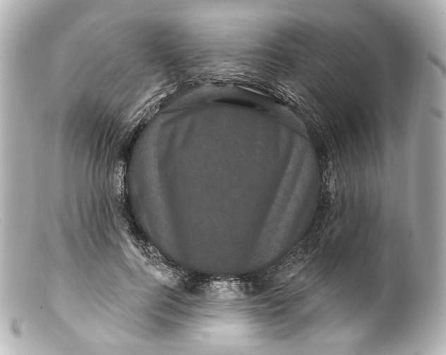 X0000099380744200805291128