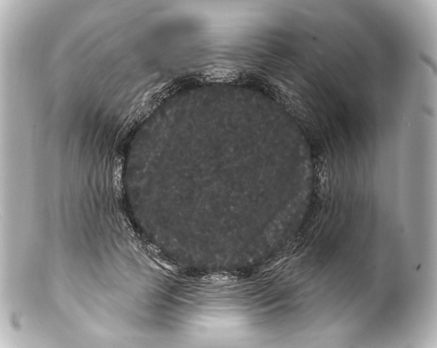 X0000099380745200805291128